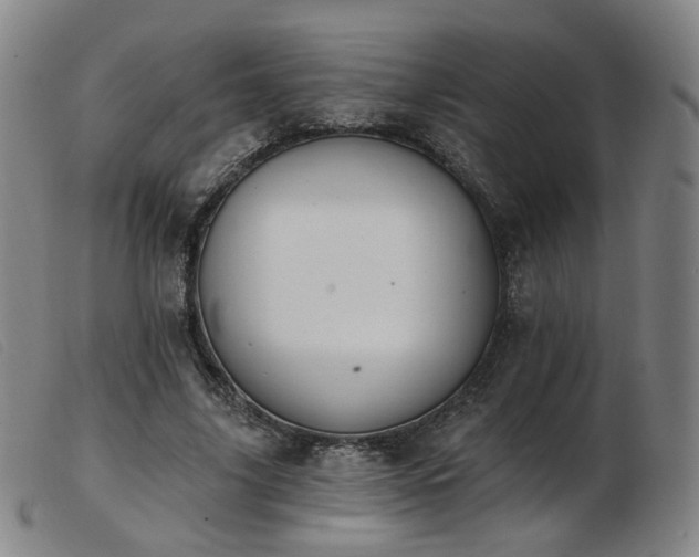 X0000103910635200809191303
