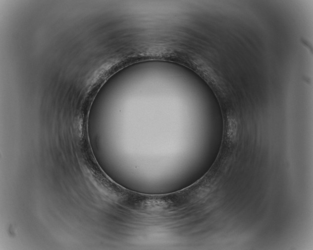 X0000103910636200809191303