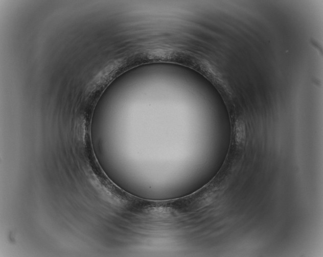 X0000103910637200809191303