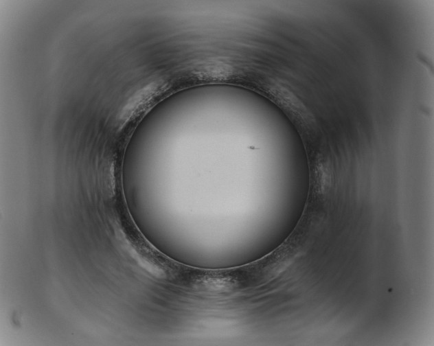 X0000103910638200809191303