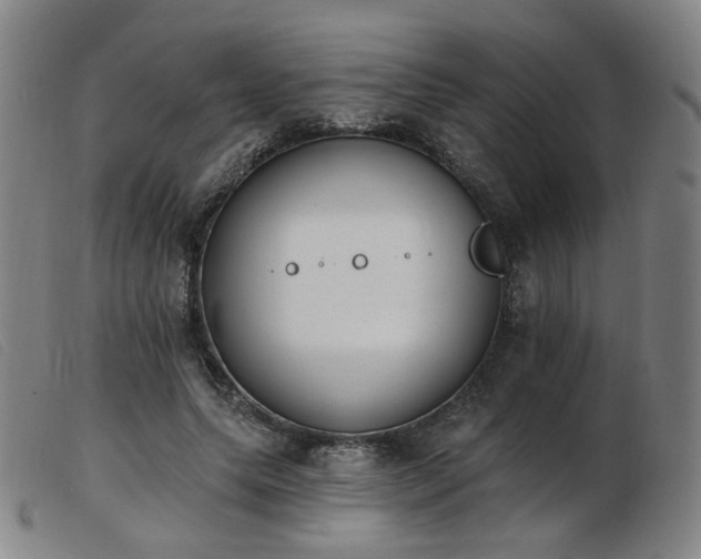 X0000103910639200809191303