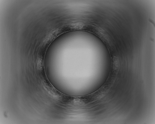 X0000103910641200809191303