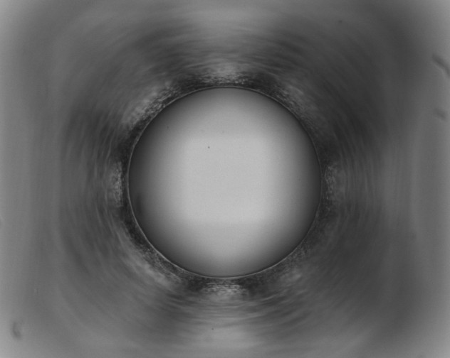 X0000103910642200809191303