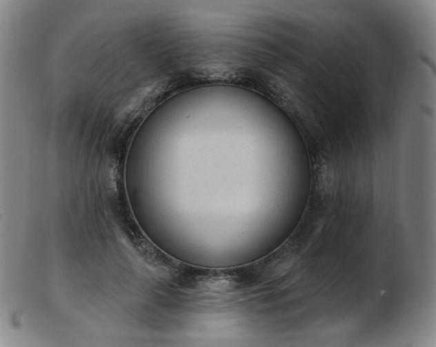 X0000103910643200809191303