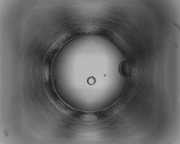 X0000103910644200809191303