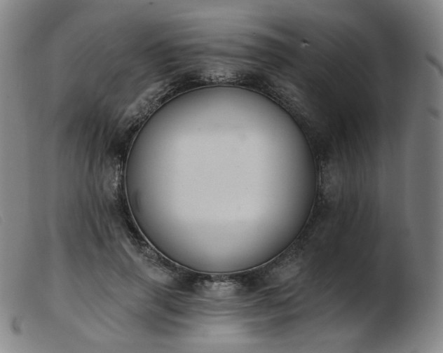 X0000103910645200809191303