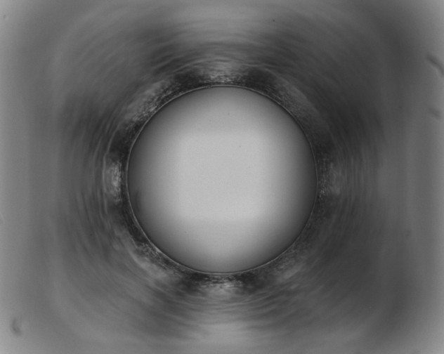 X0000103910646200809191303
