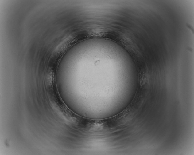 X0000103910647200809191303