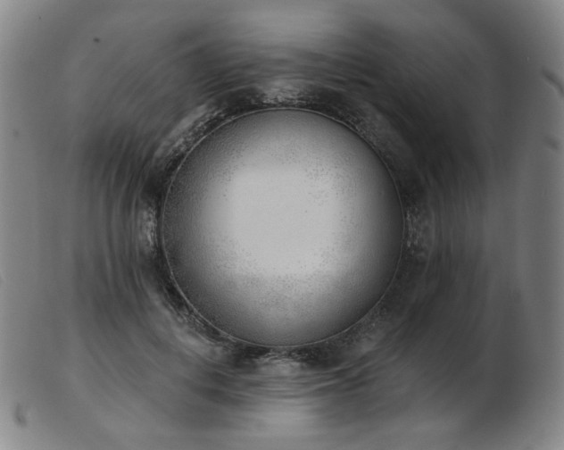 X0000103910648200809191303