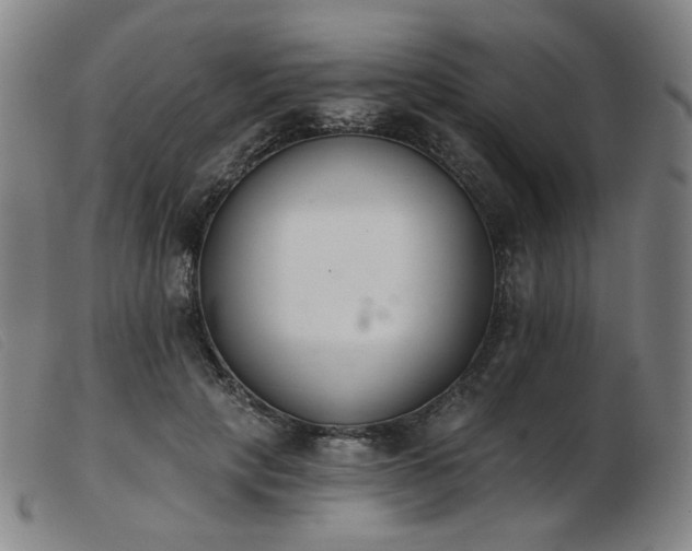 X0000103910649200809191303