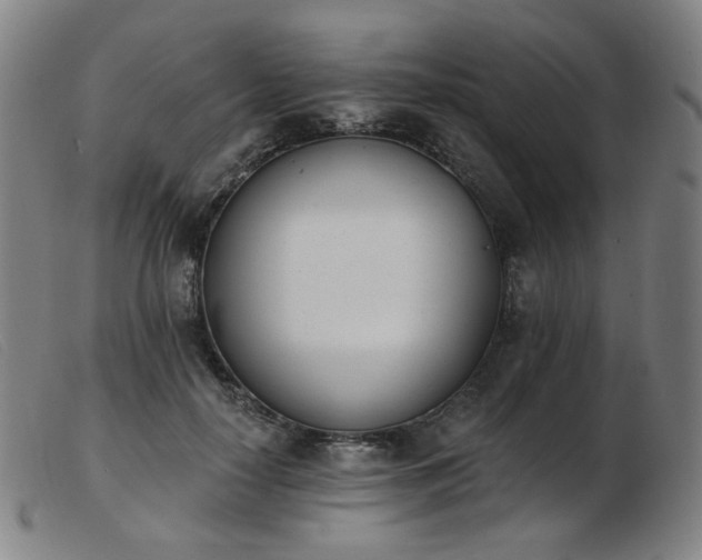 X0000103910650200809191303