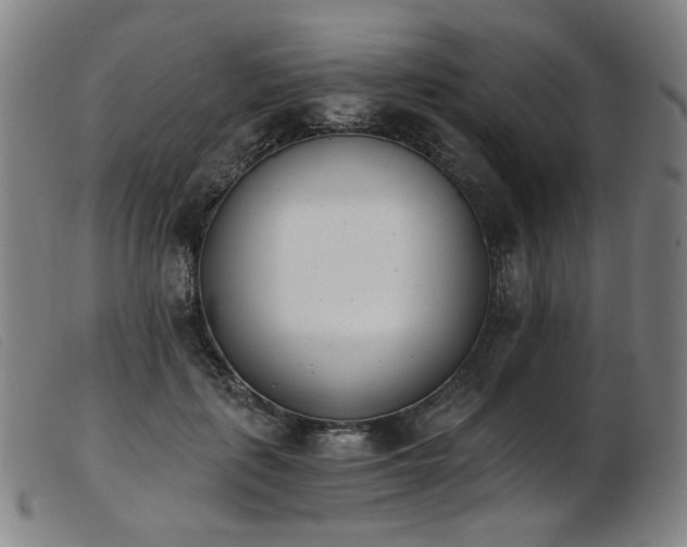 X0000103910651200809191303
