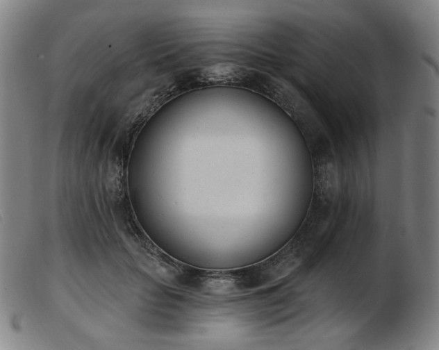 X0000103910653200809191303