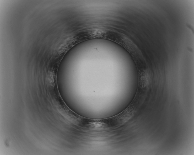 X0000103910654200809191303