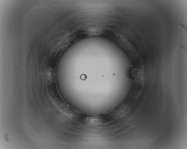 X0000103910655200809191303
