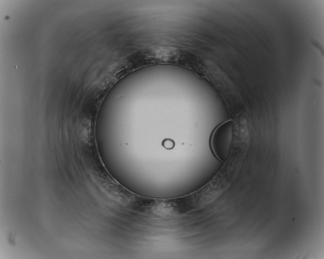 X0000103910656200809191303