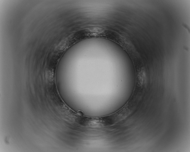 X0000103910657200809191303