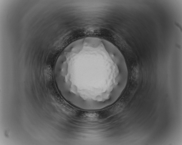 X0000103910659200809191303