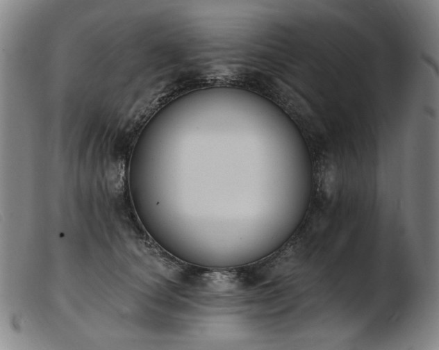 X0000103910660200809191303