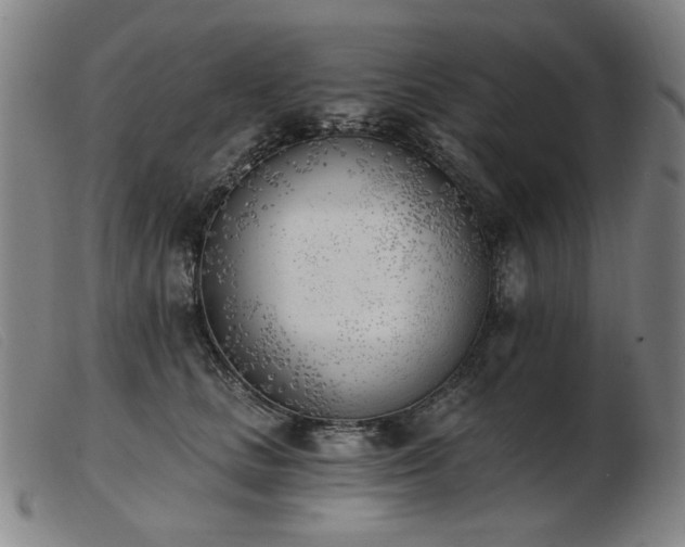 X0000103910661200809191303