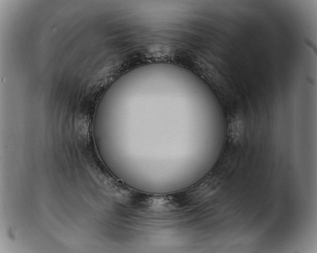 X0000103910662200809191303