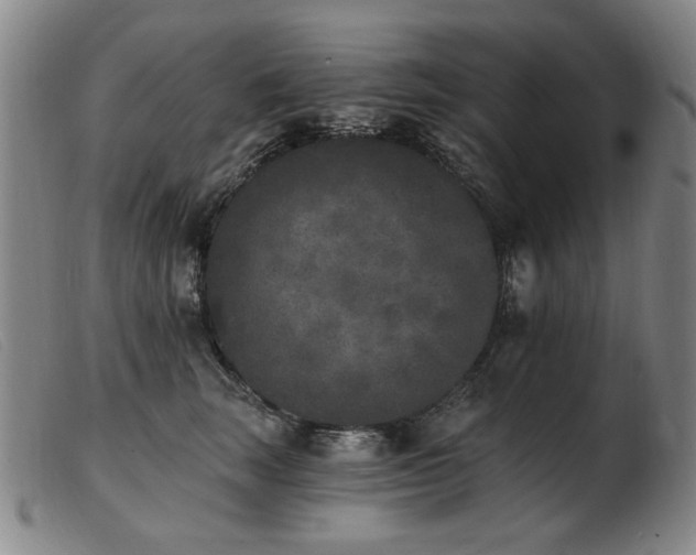 X0000103910663200809191303
