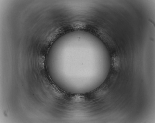 X0000103910664200809191303