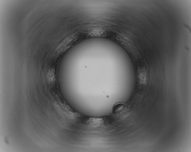 X0000103910665200809191303