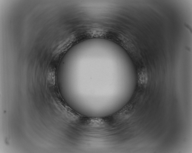 X0000103910666200809191303