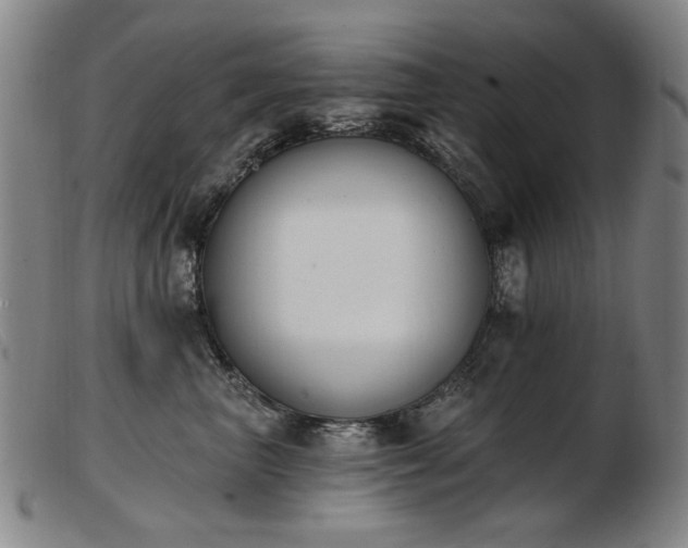 X0000103910667200809191303