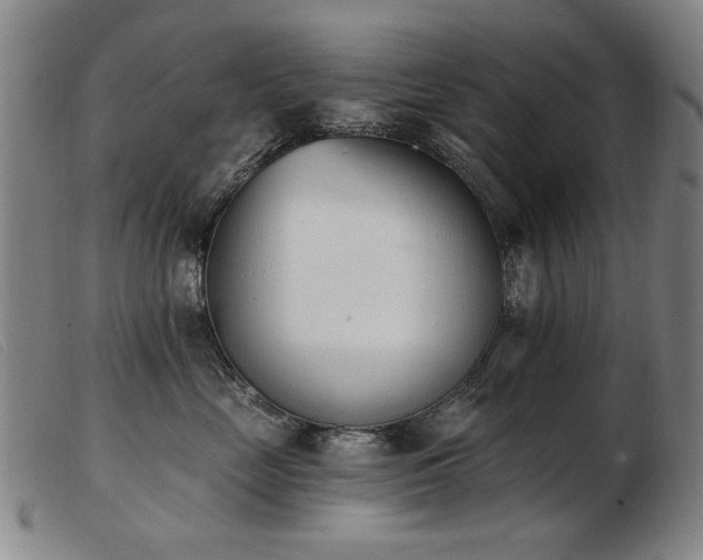 X0000103910669200809191303