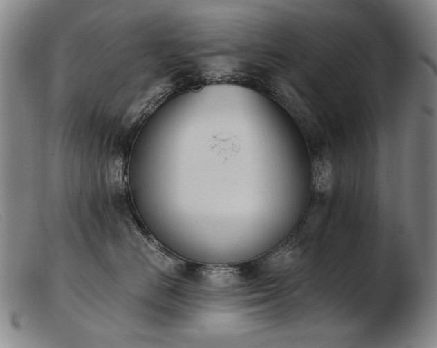 X0000103910670200809191303