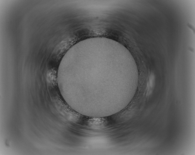 X0000103910672200809191303