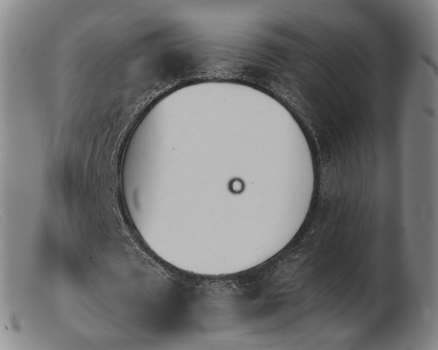X0000103910673200809191303