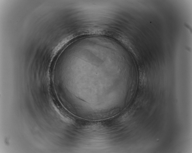 X0000103910674200809191303