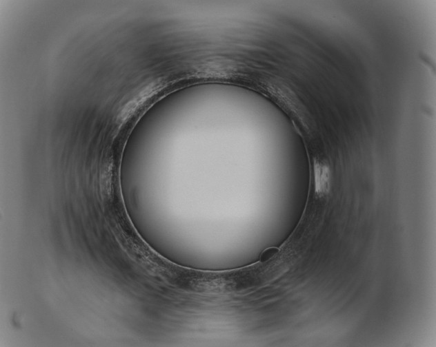 X0000103910675200809191303