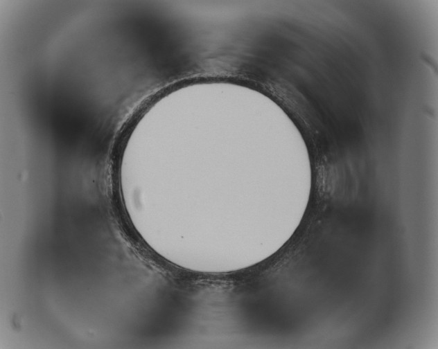 X0000103910676200809191303