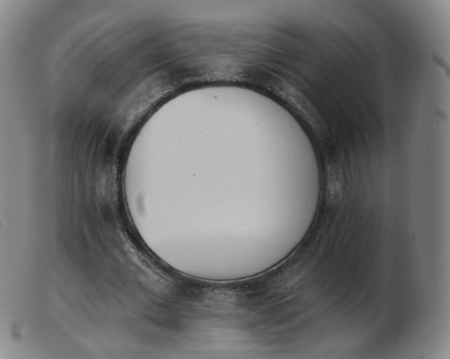 X0000103910677200809191303
