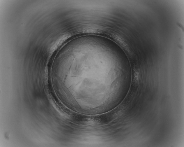 X0000103910678200809191303