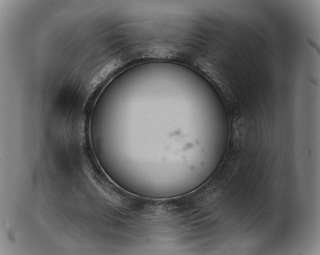X0000103910679200809191303