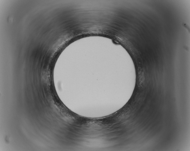X0000103910680200809191303