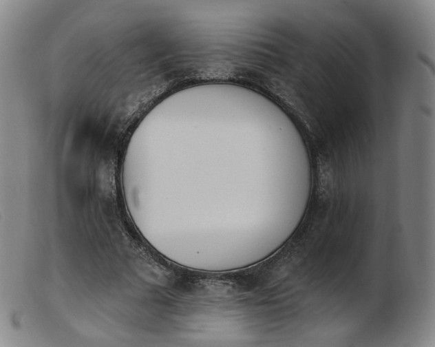 X0000103910681200809191303