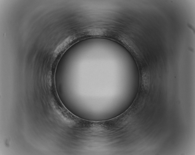 X0000103910682200809191302