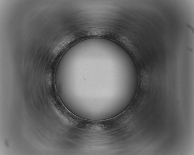 X0000103910683200809191302