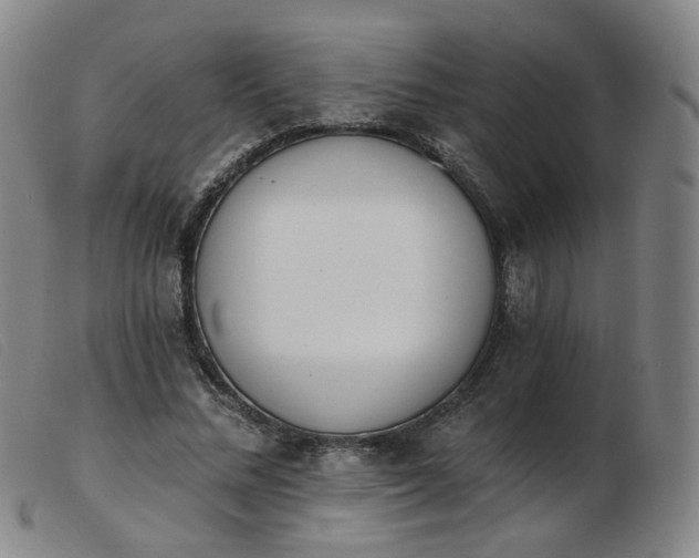 X0000103910684200809191302