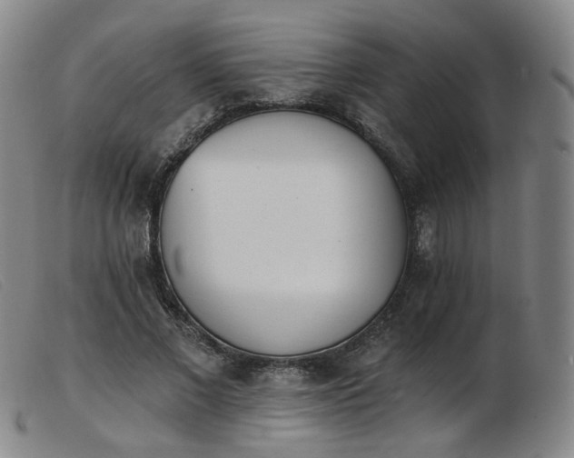 X0000103910685200809191302