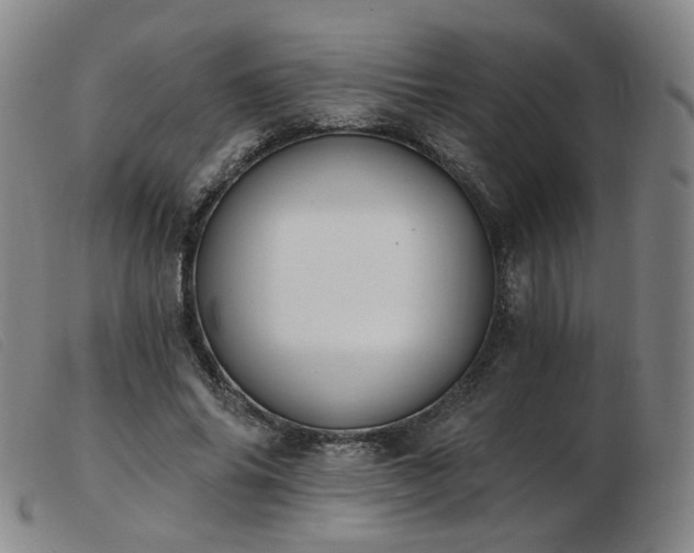 X0000103910686200809191302