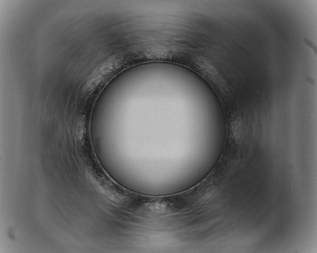 X0000103910687200809191302