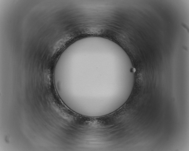 X0000103910688200809191302