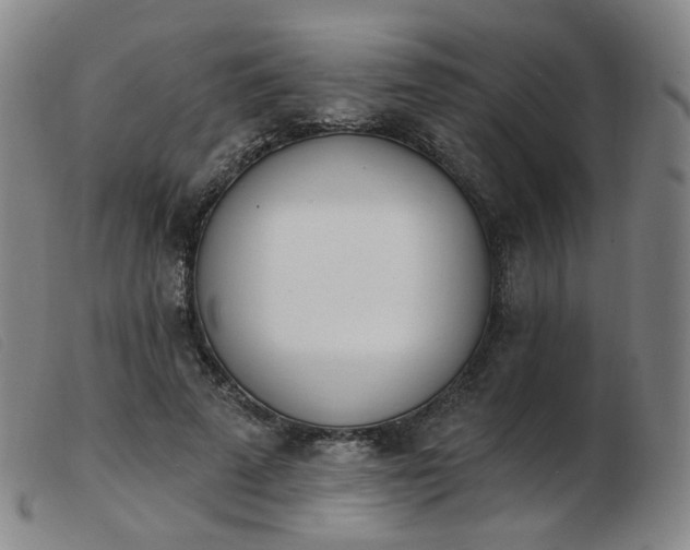 X0000103910689200809191302